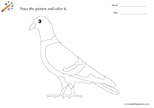 Birds Tracing Worksheets