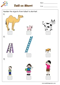 Tall and Short Worksheets