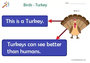 Birds with Names Charts