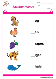 Vocabulary Practice Worksheets