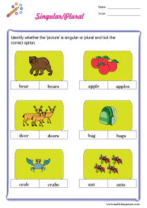 Singular and Plural Worksheets