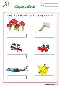 Singular and Plural Worksheets