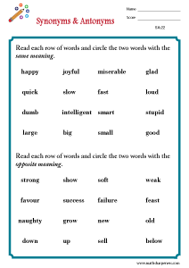 Synonyms and Antonyms Worksheets