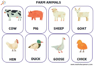 Farm Animals