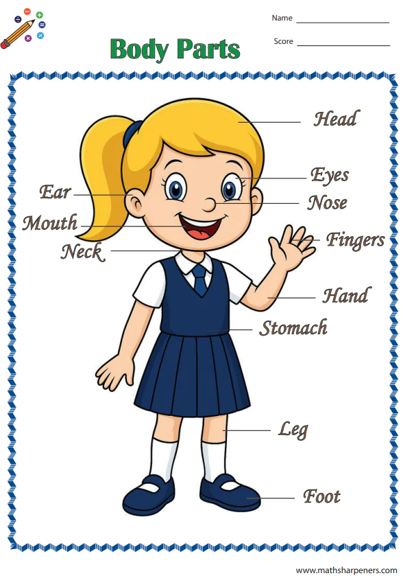 Body Parts Worksheets