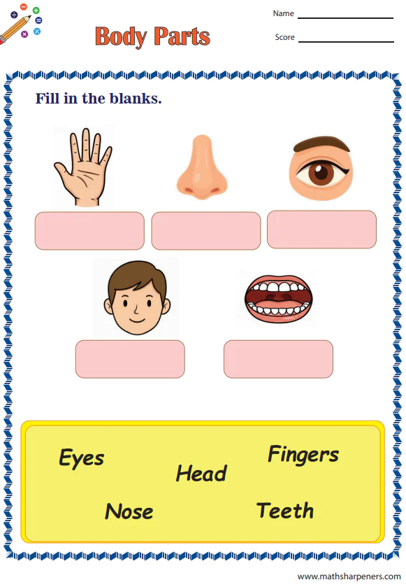 Body Parts Worksheets