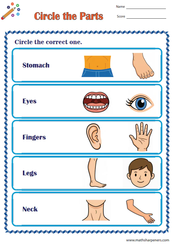 Body Parts Worksheets