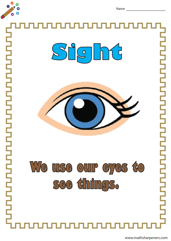 Sense Organs Worksheets