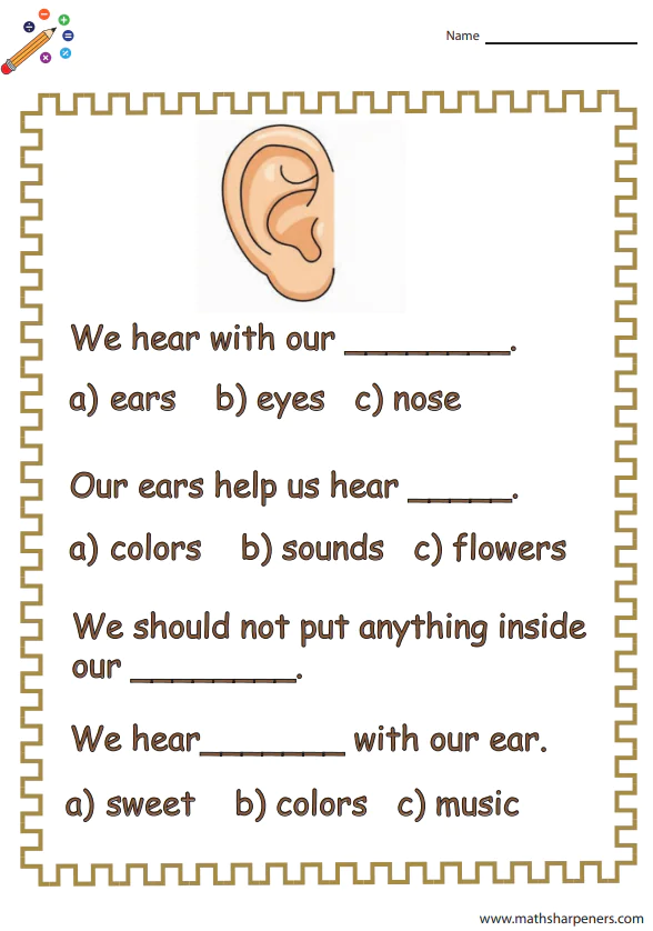 Sense Organs Worksheets