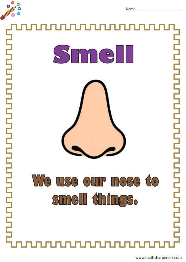 Sense Organs Worksheets