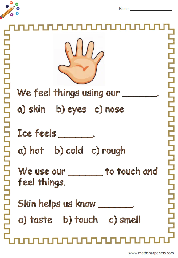 Sense Organs Worksheets