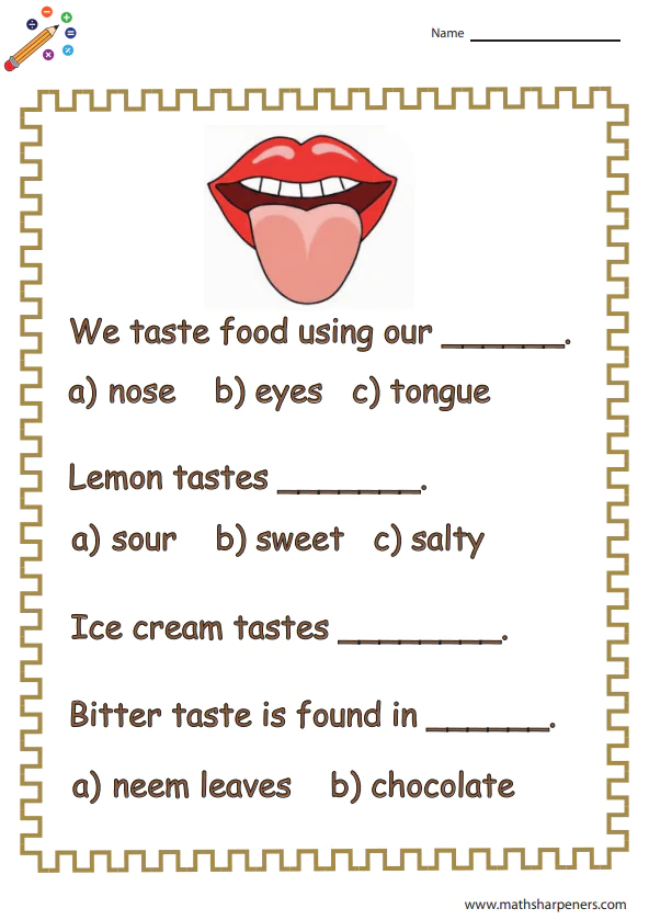 Sense Organs Worksheets