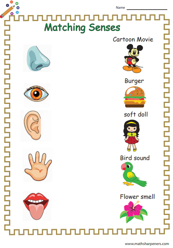Sense Organs Worksheets